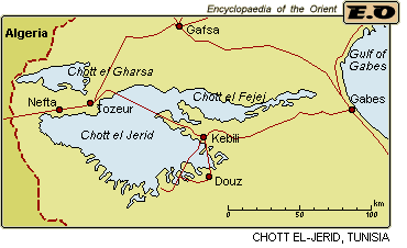 Chott el-Jerid
