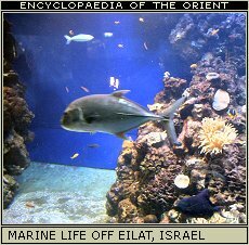 Eilat, Israel