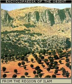 From the region of Ilam