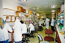 Hospital laboratorium in Qatar.