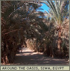 Siwa, Egypt: Around the oasis