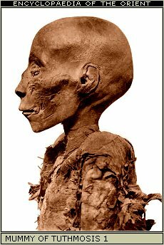 Mummy of Tuthmosis 1