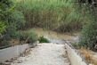 Stairs down to the Tigris. This was the old place for weekly baptism rituals, but replaced with the pool of the Manda.