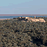 The salt lake Zeitun, village of Aghurmi and the palms