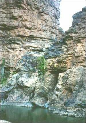 Azougui