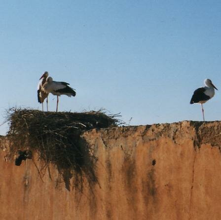 Marrakech, Morocco