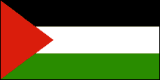 Palestine's national flag
