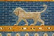 Detail of the Ishtar gate.