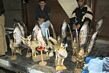 In this part of the world, anything seems to be possible to sell. Desert fox or falcons, they may not be easy to get past the customs when you return home.