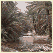 Wadi river bed of Socotra