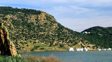 Ichkeul National Park, Tunisia